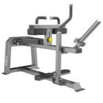 Seated Calf