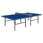 Giant Dragon Table Tennis Board–K503C