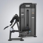 Biceps Curl DHZ