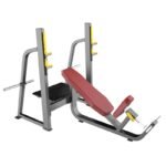 Olympic Bench Incline