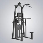 DHZ Dip Chin Assist-U3009