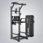 DHZ Dip Chin Assist-U3009A