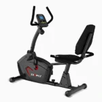 CIAPO Recumbent Bike CP-6403