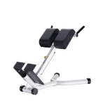 WNQ Back Extension F1-A93
