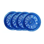 Blue Regular Dumbbell Weight Plate
