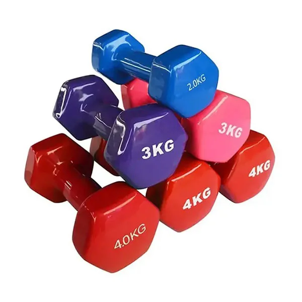 Vinyl-Dumbbell Vinyl Dumbbell - Image 1