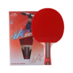 Double Fish Table Tennis Bat 4A-C