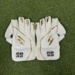 Wickets Keeping Gloves Good Quality-SS