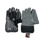 Wickets Keeping Gloves Good Quality-SS
