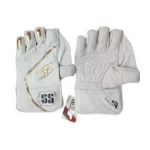 Wickets Keeping Gloves Good Quality-SS - Image 2