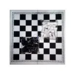 Plastic Chess Board With Guti