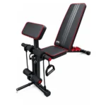 Adjustable Multi Bench DDS